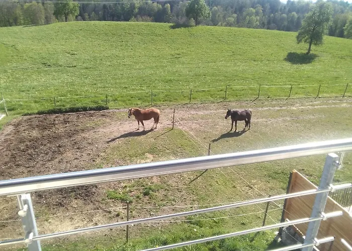 Wohnung Mit Ausblick