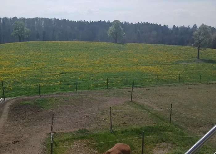 Wohnung Mit Ausblick